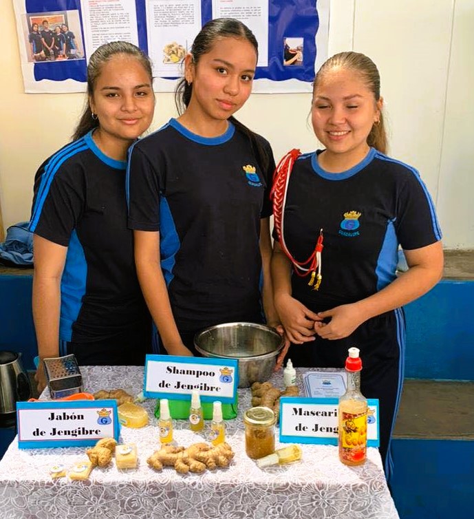 Actividad académica